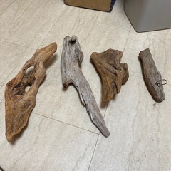 流木セット 自然な形状 4点