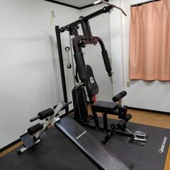 実戦カラテ　誠武道場　道場生募集中の画像