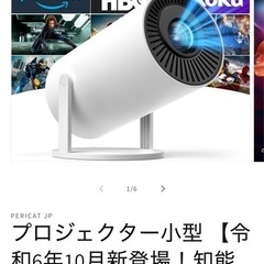 pericat  プロジェクター