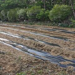 マルチャー　実働　長野県内送料無料　クボタの画像