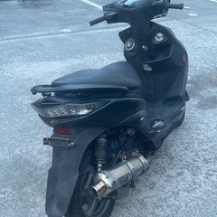 シグナス3型  まだありますの画像