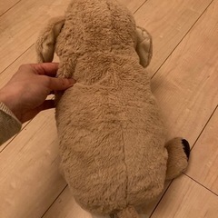 IKEA ゴールデンレトリバーのぬいぐるみの画像