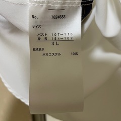 新品未使用　白ブラウス　4Lの画像