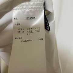 新品未使用　白ブラウス　4Lの画像