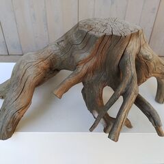 盆栽、花瓶の台などに（木の根）の画像