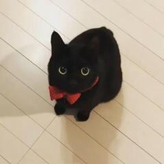 ソフトなリラクゼーション・無料モニターさん募集!