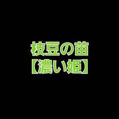 No.124【苗】🆕️発売‼️数量限定‼️濃厚な風味と美味しさ‼...