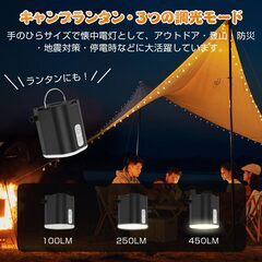 【新品・未使用】携帯式エアーポンプの画像