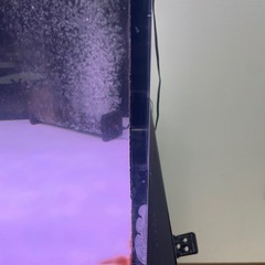 180アクリル水槽の画像