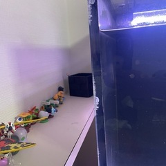 180アクリル水槽の画像