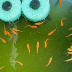 🧡楊貴妃✨ 🌈  ゴールデンウィークセール 🈹𓂃𓈒𓏸︎︎︎︎ 
