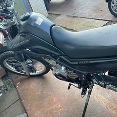 セロー250  交換可の画像