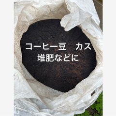 お話し中　②5月中旬〜下旬お渡し予約　珈琲抽出後のおり　コーヒー...