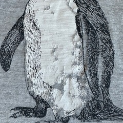 サイズ100 半袖Tシャツの画像