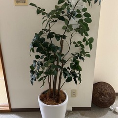 観葉植物　フェイクグリーン　飾り　オブジェ