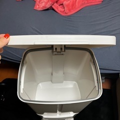 ゴミ箱(2段)の画像