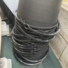 10リットルバケツ　　メダカ