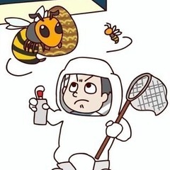 福山市、蜂の巣駆除致します！個人です。