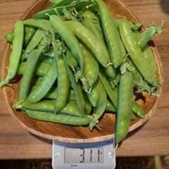 野菜(サヤエンドウorスナップエンドウ)の画像