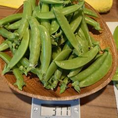 野菜(サヤエンドウorスナップエンドウ)の画像