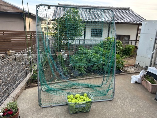 【引き取り限定】野球バッティングネット 練習用ボール（テニスボール付き）