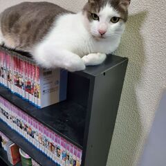純粋に友達が欲しい😊