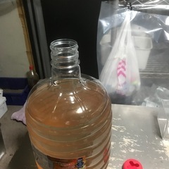 メダカ針子稚魚成魚の生き餌ゾウリムシ