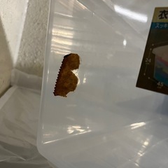 衣装ケース　衣類ケース　ボックス　クリアボックス　蓋に割れ有り　3つセットの画像