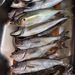 釣りDEボランティア