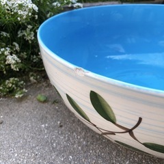 睡蓮鉢　ビオトープ　メダカ鉢　陶器の画像