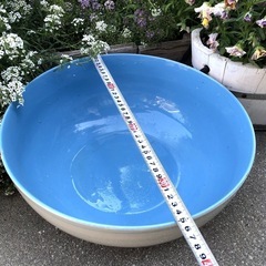 睡蓮鉢　ビオトープ　メダカ鉢　陶器の画像