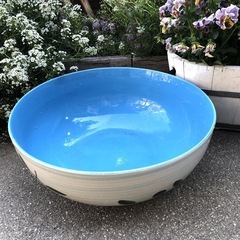 睡蓮鉢　ビオトープ　メダカ鉢　陶器の画像