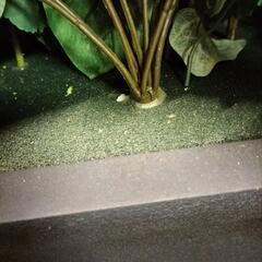 【2410FB1】造花付きプランター◆フェイクグリーン◆アレンジ◆観葉植物◆モデルルーム展示品◆の画像
