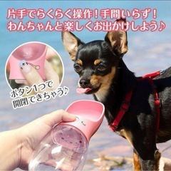 犬用携帯水筒 ピンクの画像