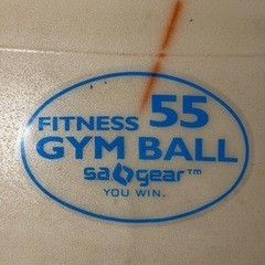 バランスボールの画像