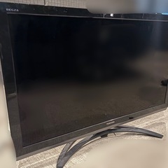 REGZA テレビ