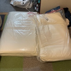 【急募】ニトリ製 防ダニ 抗菌防臭 敷布団 セミダブル マットレ...