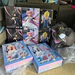 今日　新商品　入荷しました