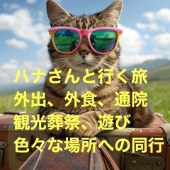 旅行の同行