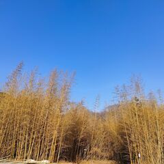 ☆☆えっ！日本にまだこんな所があったなんて…　それ言い過ぎ（笑） - 西宮市