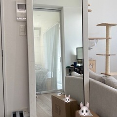 姿見
