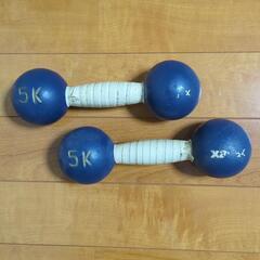 値下げ【鉄アレイ　5kg✕2個】