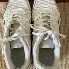 Nike. 24.5cm Air Max SCの画像