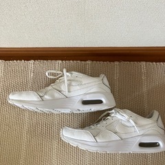 Nike. 24.5cm Air Max SCの画像