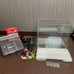 GEX グラステリア 250 25cm小型ガラス水槽セット