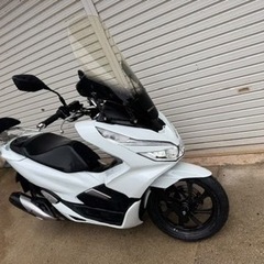 pcx  pcx125 jf81 125cc バイク　車体