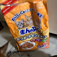 ネコエサ⚠️開封しています　中身1.6㎏