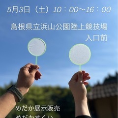 めだかすくい