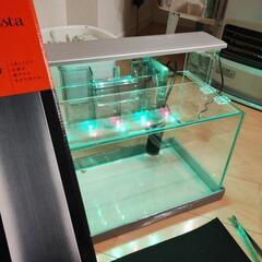 海水魚、淡水魚用照明の画像