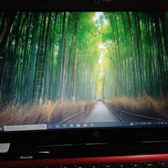 HP Pavilion g4（02）の画像